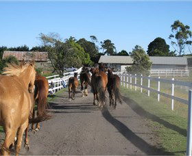 Darkes Forest Riding Ranch - Queensland Tourism 1