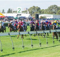 Morphettville Racecourse - QLD Tourism