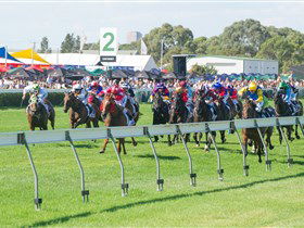 Morphettville Racecourse - Queensland Tourism 0