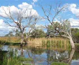 Lagoon Creek - QLD Tourism 0