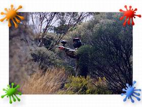 Paintball Skirmish SA - QLD Tourism 2