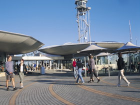 Mount Lofty Summit - QLD Tourism 1