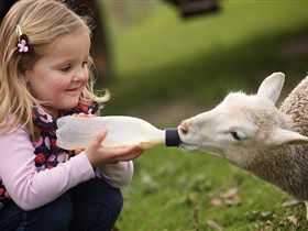 Hahndorf Farm Barn - Queensland Tourism 0