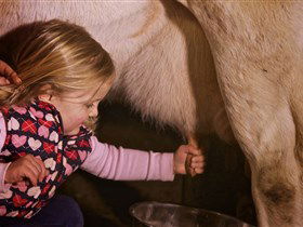 Hahndorf Farm Barn - Queensland Tourism 1