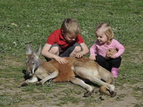 Hahndorf Farm Barn - Queensland Tourism 3