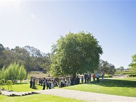 Howard Vineyard - Queensland Tourism 1