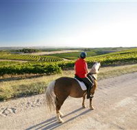 Kidman Trail - QLD Tourism