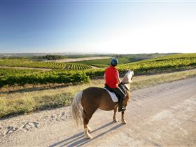 Kidman Trail - QLD Tourism 0