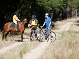 Kidman Trail - QLD Tourism 1