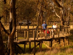 Loxton's Drives, Walks And Trails - thumb 0