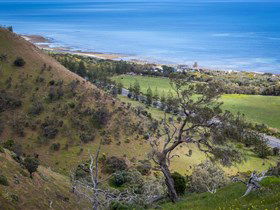 Lady Bay Beach - QLD Tourism 1