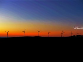 Starfish Hill Windfarm - Queensland Tourism 0