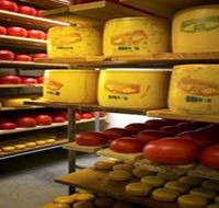 Alexandrina Cheese Company - Queensland Tourism