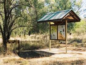 Charleville Self-Drive Itineraries - QLD Tourism 0