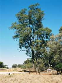 Charleville Self-Drive Itineraries - QLD Tourism 1