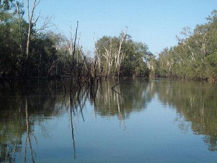 Charleville - 18 Mile Warrego River Fishing - QLD Tourism 1