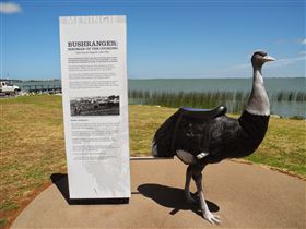 Birdman Of The Coorong - QLD Tourism 0