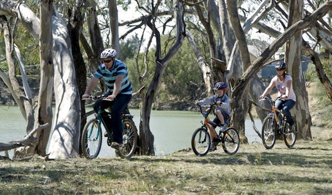Yanga Woolshed Picnic Area - QLD Tourism 1