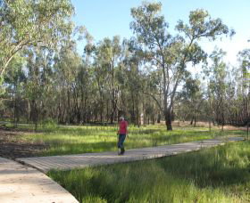 Ben Scott Memorial Bird Trail - QLD Tourism 0