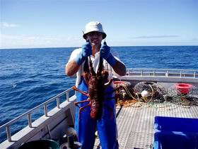 Lacepede Seafood - QLD Tourism 2