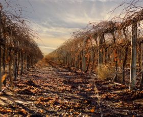 Andrew Peace Wines - Queensland Tourism 2
