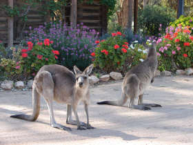 The Pioneer Settlement - Queensland Tourism 5