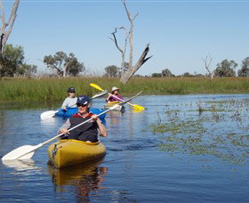 Marsh Meanders - QLD Tourism 0