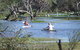 Marsh Meanders - thumb 2