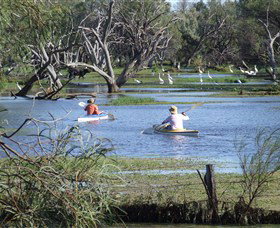 Marsh Meanders - QLD Tourism 2