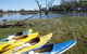 Marsh Meanders - thumb 1