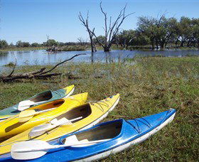 Marsh Meanders - QLD Tourism 1