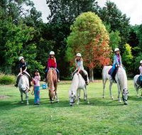 Limestone Coast Horseriding - QLD Tourism