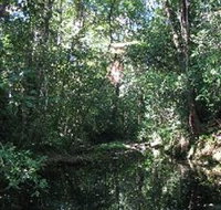 Wabunga Wayemba Charmillan Creek walking track - QLD Tourism
