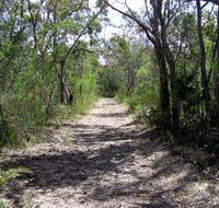 Lanky's Walk - Queensland Tourism