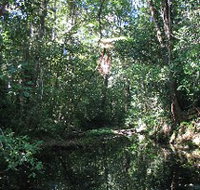 Misty Mountains Wilderness Walking Tracks - QLD Tourism
