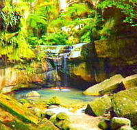 Carnarvon Gorge Carnarvon National Park - Queensland Tourism