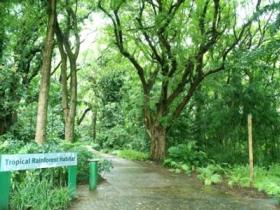 Townsville Palmetum - QLD Tourism 1