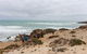 The Seaview Walking Trail - thumb 0