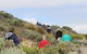 The Seaview Walking Trail - thumb 2