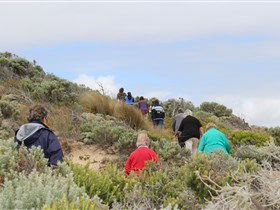 The Seaview Walking Trail - Queensland Tourism 2