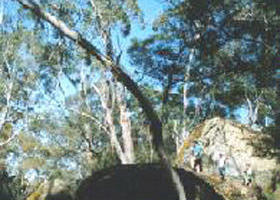 Bahgallah ACT QLD Tourism