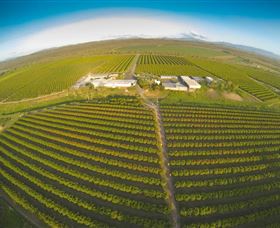 Golden Drop Winery - QLD Tourism 0