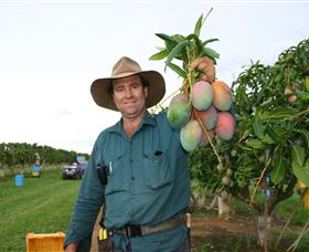 Golden Drop Winery - QLD Tourism 1