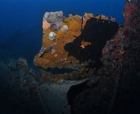 Lady Bowen Dive Site - QLD Tourism 0