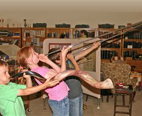 The Bible Museum - QLD Tourism 2