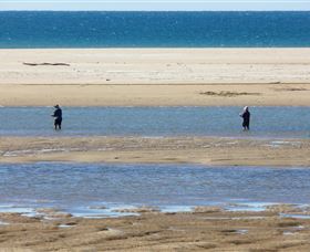 Alva Beach - QLD Tourism 0