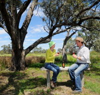 Restdown Wines and Walking Trail - Queensland Tourism