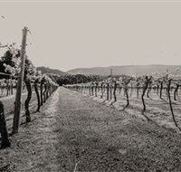 Halls Gap Estate - Queensland Tourism