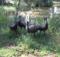 East Tolans Farm Tour - QLD Tourism