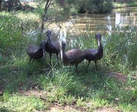 East Tolans Farm Tour - QLD Tourism 0